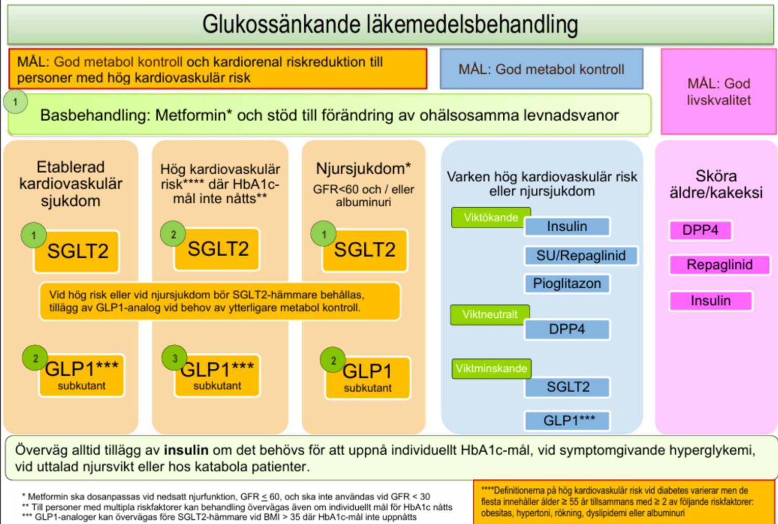 Schematisk bild över Glukossänkande läkemedelsbehandling , behandlingsrekommendation diabetes
