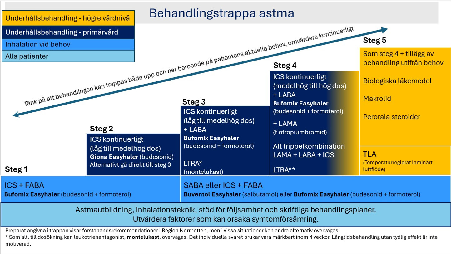 Behandlingstrappa astma (vuxna)
