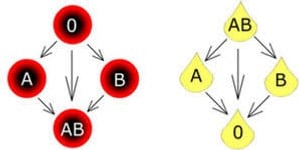 Erytrocyter och plasma schematisk illustration