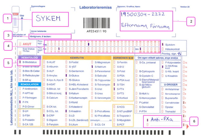 Exempel p&aring; en pappersremiss till labb