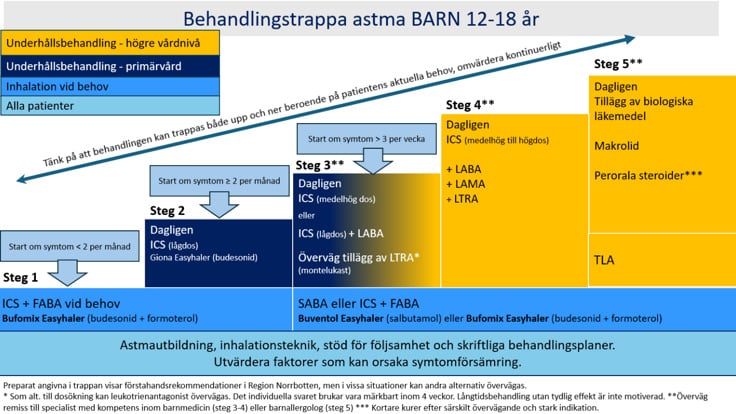 Schematisk bild &ouml;ver behandlingstrappa inom barnastma