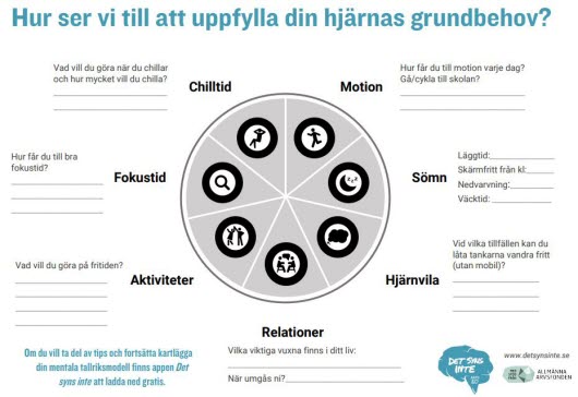 Hur uppfyller vi grundbehoven, utkriftversion för egna svar)